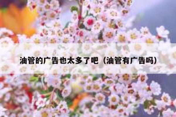 油管的广告也太多了吧(油管有广告吗) 第1张 油管的广告也太多了吧(油管有广告吗) 第1张
