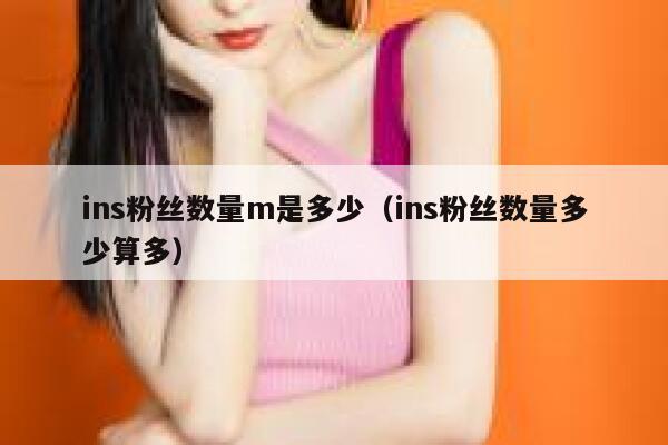 ins粉丝数量m是多少（ins粉丝数量多少算多） 第1张