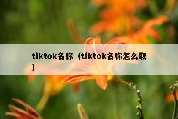 tiktok名称（tiktok名称怎么取） 第1张