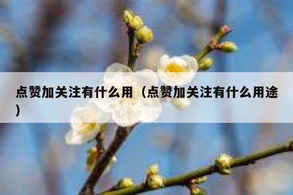 点赞加关注有什么用(点赞加关注有什么用途) 第1张 点赞加关注有什么用(点赞加关注有什么用途) 第1张