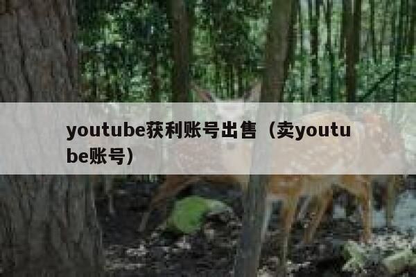 youtube获利账号出售(卖youtube账号) 第1张 youtube获利账号出售(卖youtube账号) 第1张