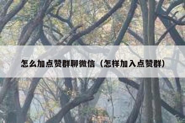 怎么加点赞群聊微信(怎样加入点赞群) 第1张 怎么加点赞群聊微信(怎样加入点赞群) 第1张