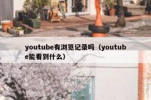 youtube有浏览记录吗(youtube能看到什么) 第1张 youtube有浏览记录吗(youtube能看到什么) 第1张