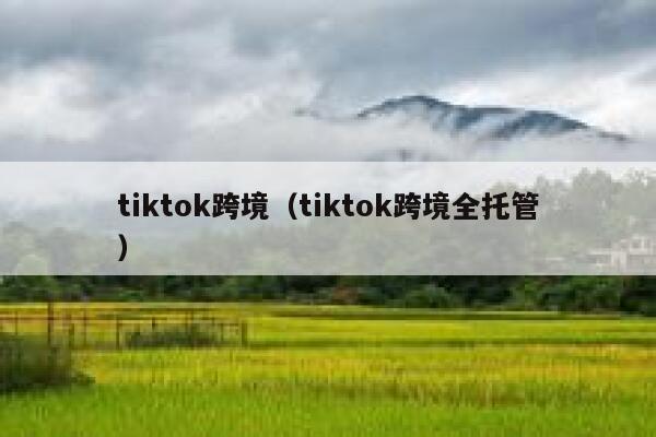 tiktok跨境(tiktok跨境全托管) 第1张 tiktok跨境(tiktok跨境全托管) 第1张