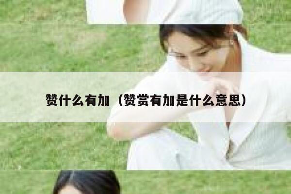 赞什么有加(赞赏有加是什么意思) 第1张 赞什么有加(赞赏有加是什么意思) 第1张