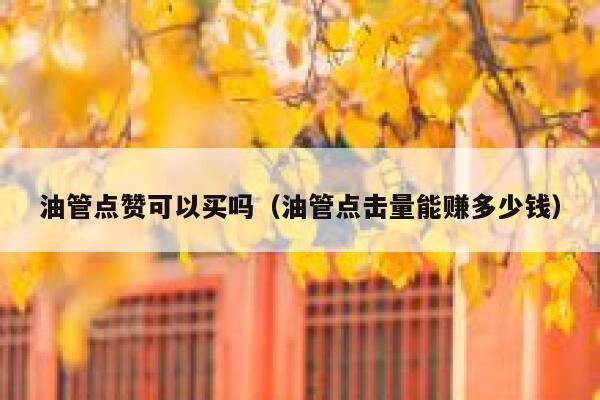 油管点赞可以买吗(油管点击量能赚多少钱) 第1张 油管点赞可以买吗(油管点击量能赚多少钱) 第1张