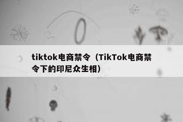 tiktok电商禁令(TikTok电商禁令下的印尼众生相) 第1张 tiktok电商禁令(TikTok电商禁令下的印尼众生相) 第1张