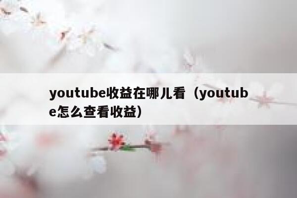 youtube收益在哪儿看(youtube怎么查看收益) 第1张 youtube收益在哪儿看(youtube怎么查看收益) 第1张