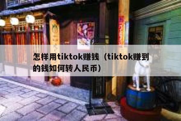怎样用tiktok赚钱（tiktok赚到的钱如何转人民币） 第1张