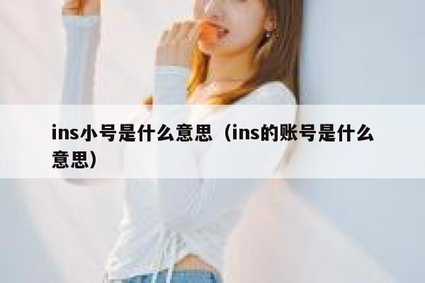 ins小号是什么意思（ins的账号是什么意思） 第1张