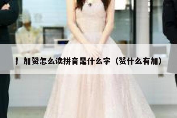 扌加赞怎么读拼音是什么字（赞什么有加） 第1张