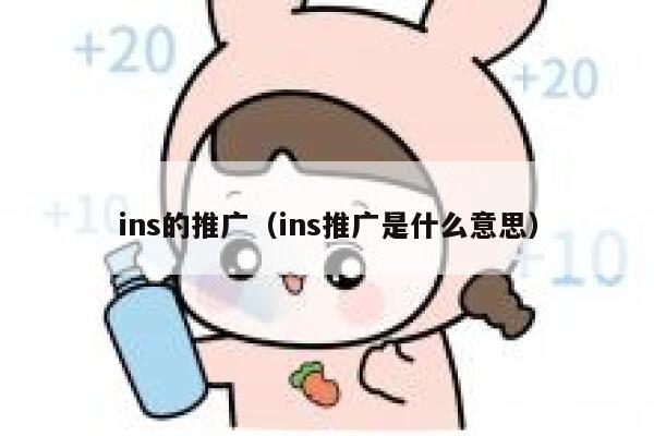 ins的推广（ins推广是什么意思） 第1张