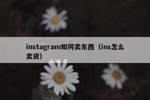 instagram如何卖东西(ins怎么卖货) 第1张 instagram如何卖东西(ins怎么卖货) 第1张