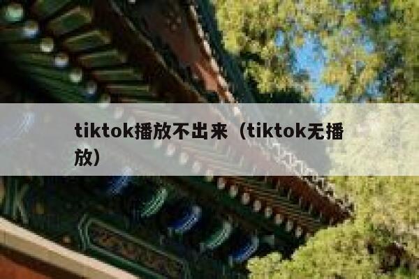 tiktok播放不出来（tiktok无播放） 第1张
