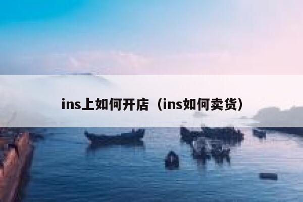 ins上如何开店（ins如何卖货） 第1张