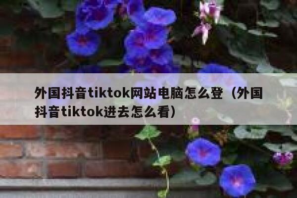 外国抖音tiktok网站电脑怎么登(外国抖音tiktok进去怎么看) 第1张 外国抖音tiktok网站电脑怎么登(外国抖音tiktok进去怎么看) 第1张