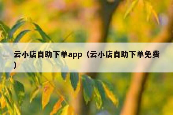 云小店自助下单app（云小店自助下单免费） 第1张