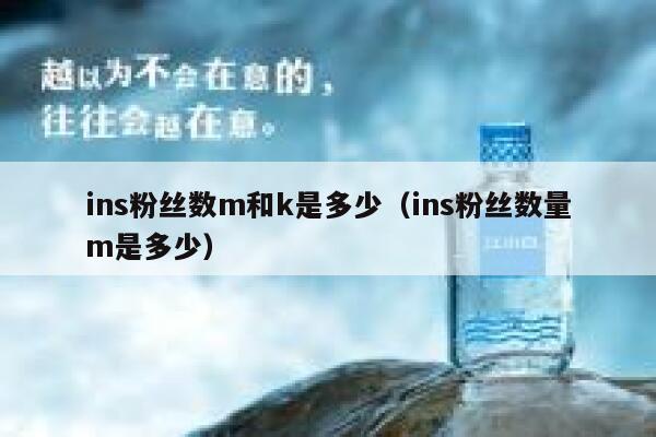 ins粉丝数m和k是多少（ins粉丝数量m是多少） 第1张