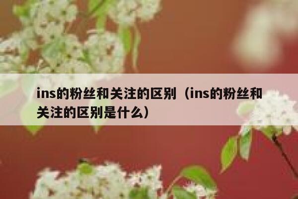 ins的粉丝和关注的区别(ins的粉丝和关注的区别是什么) 第1张 ins的粉丝和关注的区别(ins的粉丝和关注的区别是什么) 第1张