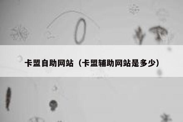 卡盟自助网站(卡盟辅助网站是多少) 第1张 卡盟自助网站(卡盟辅助网站是多少) 第1张