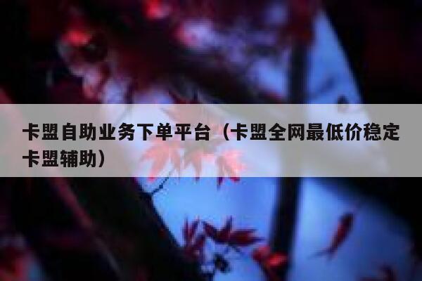 卡盟自助业务下单平台（卡盟全网最低价稳定卡盟辅助） 第1张