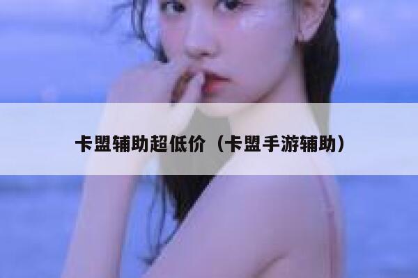 卡盟辅助超低价(卡盟手游辅助) 第1张 卡盟辅助超低价(卡盟手游辅助) 第1张