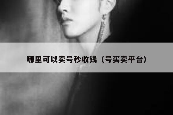 哪里可以卖号秒收钱(号买卖平台) 第1张 哪里可以卖号秒收钱(号买卖平台) 第1张