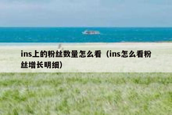 ins上的粉丝数量怎么看（ins怎么看粉丝增长明细） 第1张