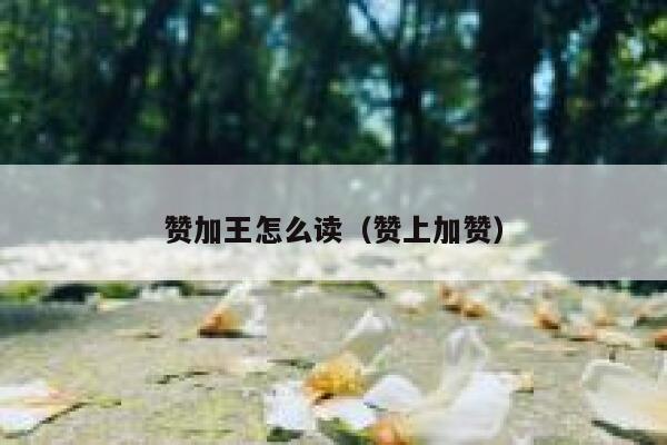 赞加王怎么读（赞上加赞） 第1张