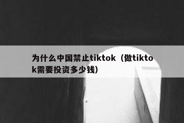 为什么中国禁止tiktok（做tiktok需要投资多少钱） 第1张