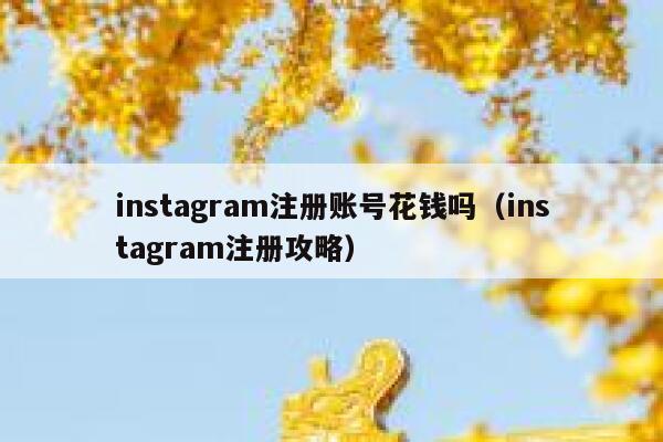 instagram注册账号花钱吗(instagram注册攻略) 第1张 instagram注册账号花钱吗(instagram注册攻略) 第1张