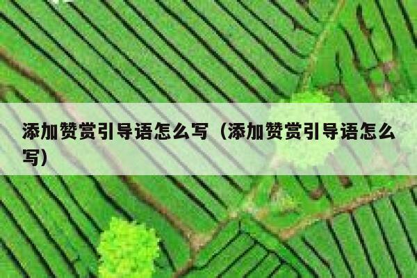 添加赞赏引导语怎么写（添加赞赏引导语怎么写） 第1张