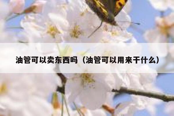 油管可以卖东西吗（油管可以用来干什么） 第1张