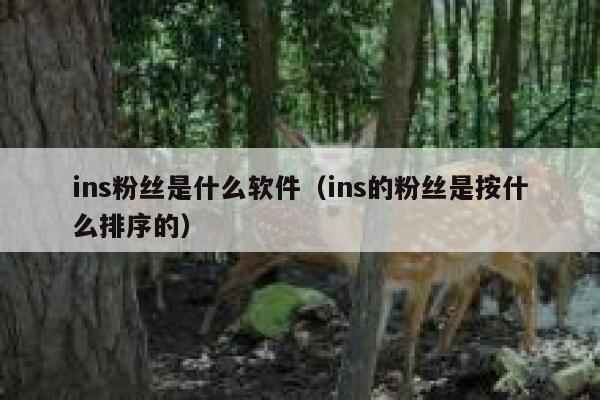 ins粉丝是什么软件（ins的粉丝是按什么排序的） 第1张