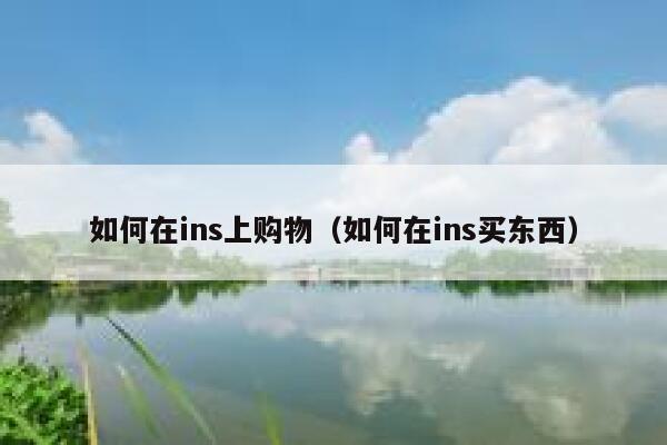 如何在ins上购物（如何在ins买东西） 第1张