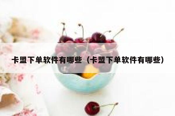 卡盟下单软件有哪些(卡盟下单软件有哪些) 第1张 卡盟下单软件有哪些(卡盟下单软件有哪些) 第1张