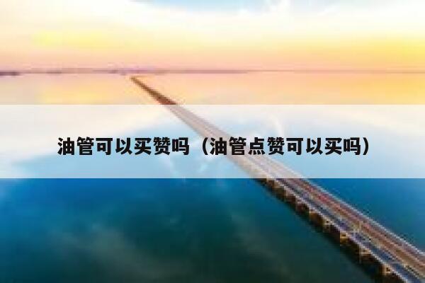 油管可以买赞吗（油管点赞可以买吗） 第1张