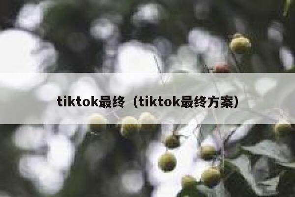 tiktok最终(tiktok最终方案) 第1张 tiktok最终(tiktok最终方案) 第1张