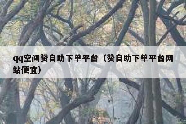 qq空间赞自助下单平台（赞自助下单平台网站便宜） 第1张