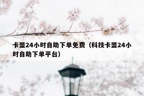 卡盟24小时自助下单免费（科技卡盟24小时自助下单平台） 第1张