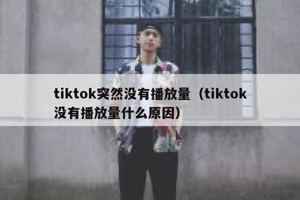 tiktok突然没有播放量(tiktok没有播放量什么原因) 第1张 tiktok突然没有播放量(tiktok没有播放量什么原因) 第1张