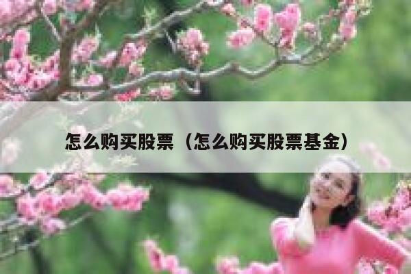 怎么购买股票（怎么购买股票基金） 第1张