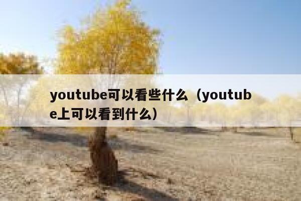 youtube可以看些什么（youtube上可以看到什么） 第1张