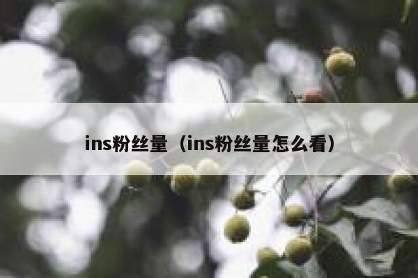 ins粉丝量（ins粉丝量怎么看） 第1张