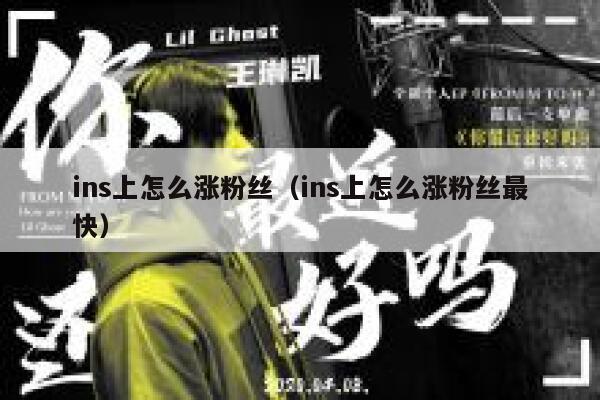 ins上怎么涨粉丝（ins上怎么涨粉丝最快） 第1张