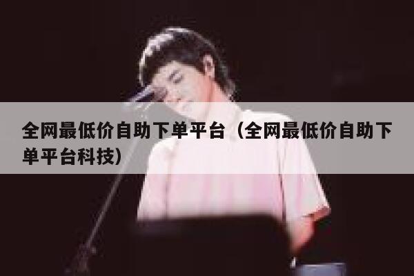 全网最低价自助下单平台（全网最低价自助下单平台科技） 第1张