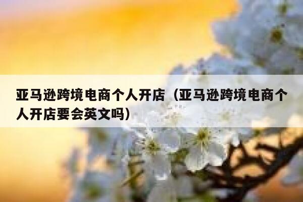 亚马逊跨境电商个人开店(亚马逊跨境电商个人开店要会英文吗) 第1张 亚马逊跨境电商个人开店(亚马逊跨境电商个人开店要会英文吗) 第1张