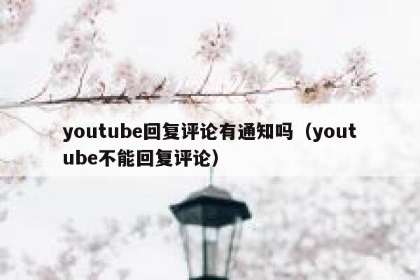youtube回复评论有通知吗（youtube不能回复评论） 第1张