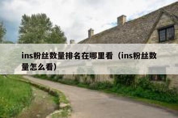 ins粉丝数量排名在哪里看（ins粉丝数量怎么看） 第1张
