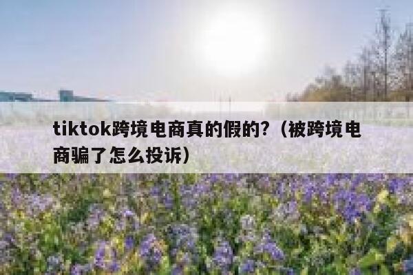 tiktok跨境电商真的假的?（被跨境电商骗了怎么投诉） 第1张